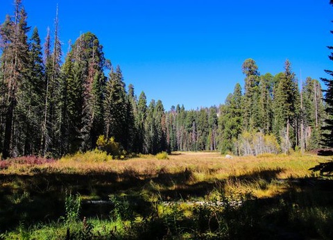 Splendeurs de l'Ouest des USA et Séjour New York 14J/12N - 9