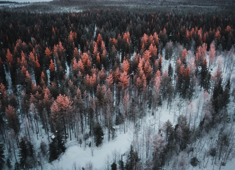 Circuit Essentiel de Laponie - 4