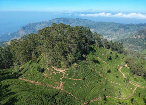 Circuit Escapade Sri Lankaise - 4