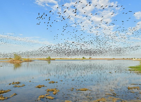 Combiné Circuit Le Sénégal Authentique 3* et Ôclub Experience African Village Bougainvillées 3* - 7