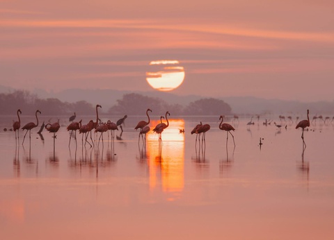 Les Murmures du Yucatán - 5