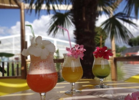 Camping Le Bois Verdon, 4* - 31