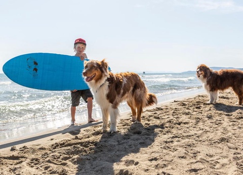 Gitavillage Le Marze - 43