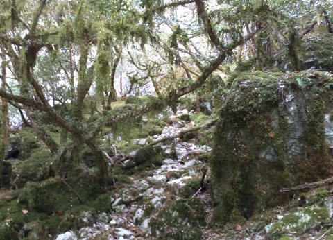 Flower Camping De la Plage, 4* - 75