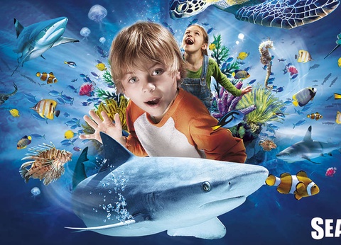 ÉMerveillement en famille à l'aquarium Sea Life - 3* - 13