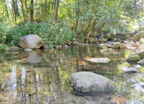 Camping L'eau Vive, 3* - 38