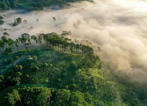 Circuit Héritage du Vietnam - 6