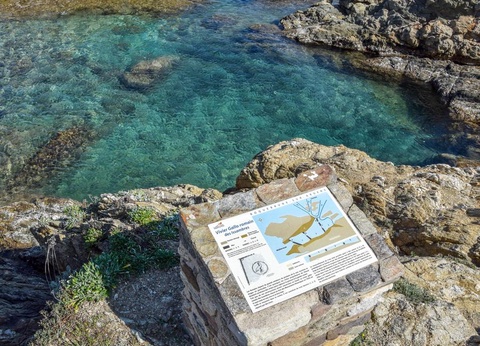 Camping au Paradis des Campeurs 4* - 39