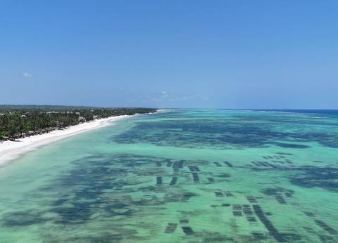 Hôtel Blue Bay Beach Resort & Spa 5* - 10