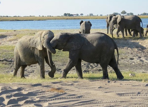 Splendeurs de Namibie et Séjour Chobe et Chutes Victoria 16J/13N - 18