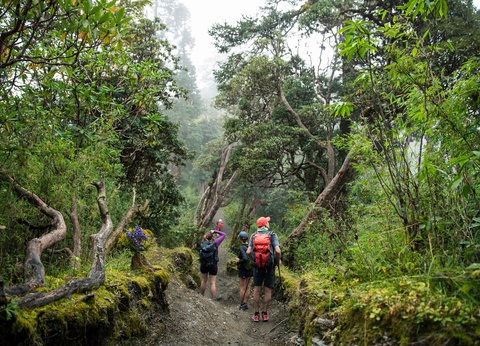 Circuit Trek dans l'Himalaya et réserve de Bardia - 3