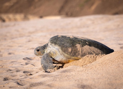 Circuit Trésors d'Oman et Emirats - 4