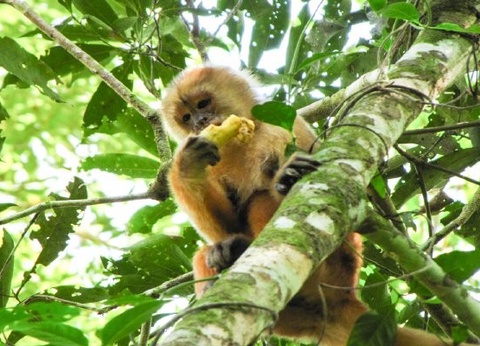 Circuit Couleurs andines et extension Amazonie *** - 10