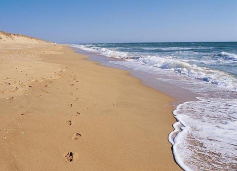 Camping L'Abri des Pins, 4* - 111