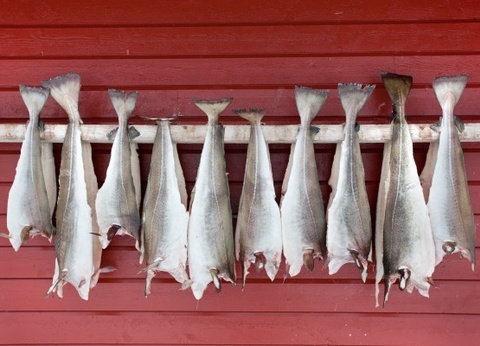 Circuit Immersion au coeur de l'hiver arctique - 7