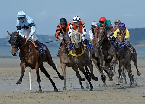 Camping Village de l'Armorique 3* - 27