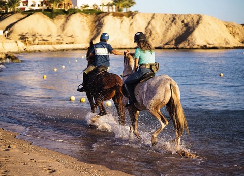 Hôtel Mövenpick Resort Sharm El Sheikh - 72