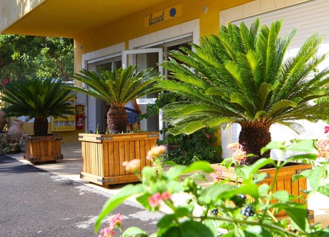 Camping International, 4* - 3