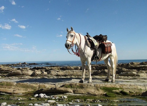Village de Chalets Auguste Delaune - 31
