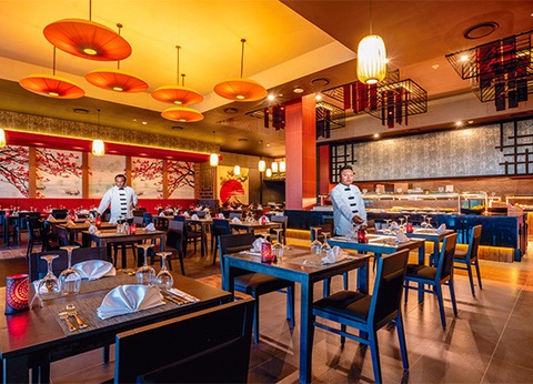 Hôtel Riu Latino - Adult Only ***** - 11