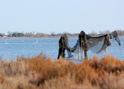 Camping Maïana Resort, 4* - 38