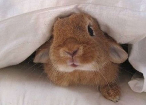 Spécial city trip : profitez d'un week-end romantique à Bruges (à partir de 2 nuits) - 2* - 9