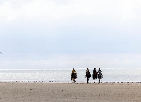 Flower Camping La Davière Plage, 4* - 90