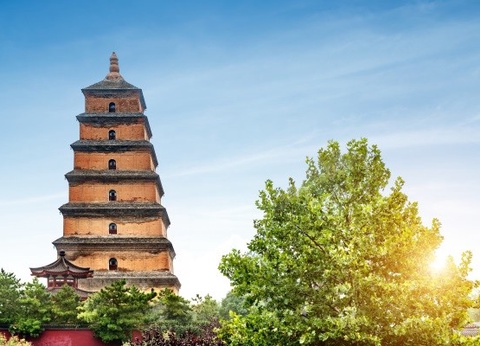 Circuit Panorama de Chine et montagnes d'Avatar *** - 9