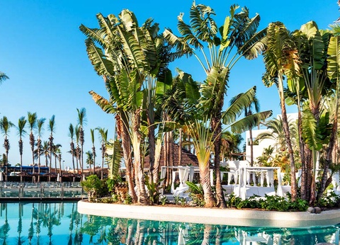 Hôtel Ôclub Select Tabaiba Princess 4* - 4