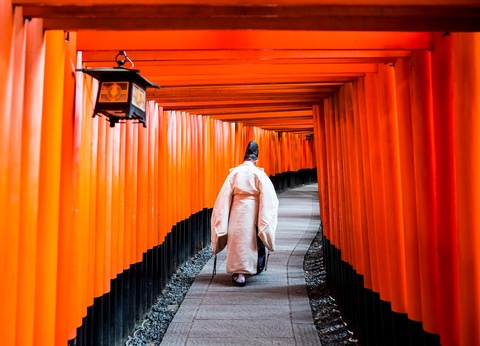 Circuit individuel: La grande traversée du Japon en 3 semaines - 12