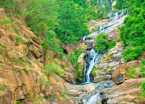 Circuit Sri Lanka Signature : Nature, Culture et Luxe - 11