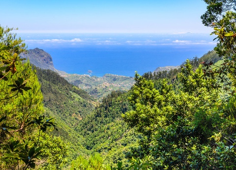 Circuit Douceurs de Madère **** - 17