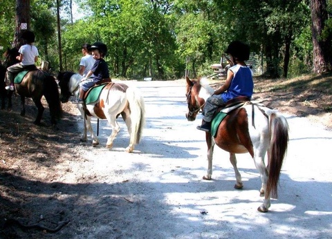 Camping Le Logis, 4* - 16