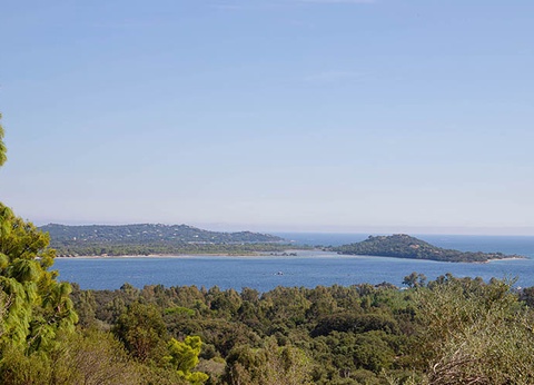 Résidence Royal Palm 3* - 32