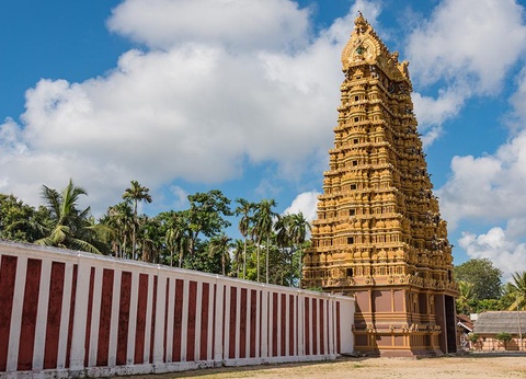 Circuit Secrets du Sri Lanka en petit groupe : culture, plages sauvages et safari 4* - 10