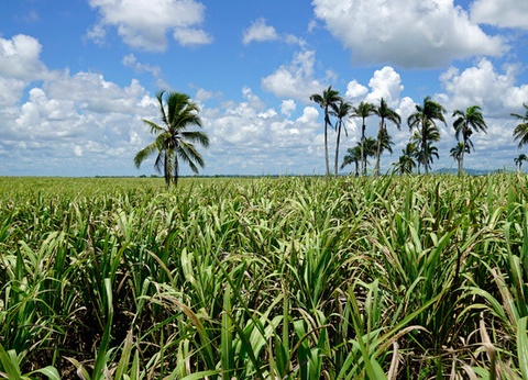Circuit Plages du Jumbo Marien Puerto Plata et aventures dans le nord dominicain - 4