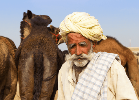 Circuit Le livre de la Jungle, entre oiseaux et tigres, en privatif - 12