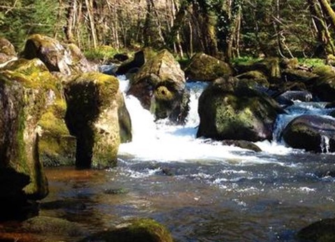 Camping Au Bois de Calais, 3* - 17