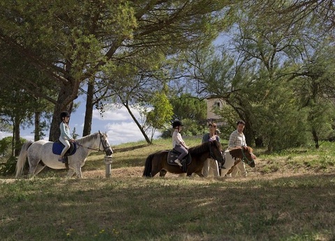 SOWELL HÔTELS Ardèche 3* - 18