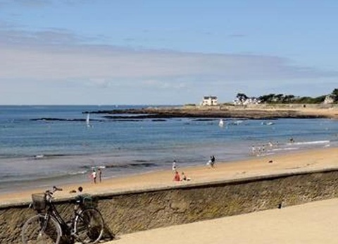 Flower Camping Les Paludiers, 4* - 40