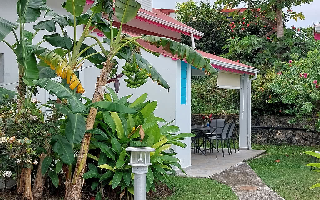 Berceuse Créole - 13