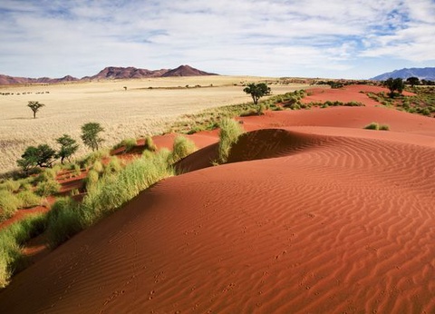 Splendeurs de Namibie & Extension Chobe & Chutes Victoria 15J/12N - 2025 - 6