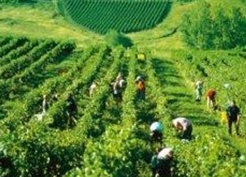 Flower Camping les 3 Ours, 3* - 23