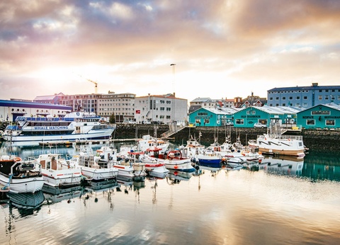 City Trip à Reykjavik - 5