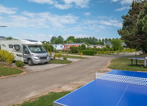 Flower Camping Vitamin, 4* - 41