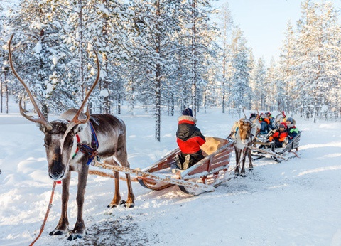 Circuit Aventure Polaire - 10