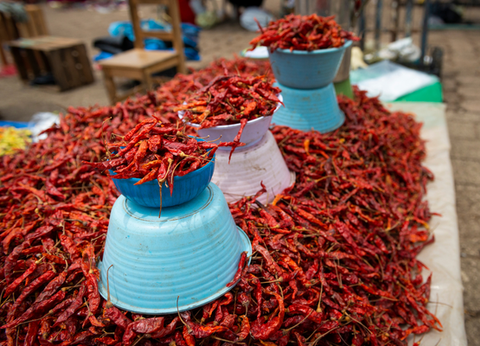 Circuit Odyssée Mexicaine : De Mexico au Yucatan - 28