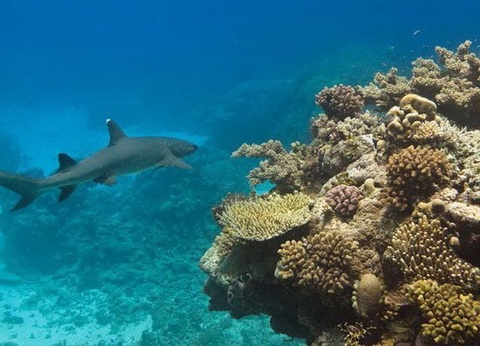 CIRCUIT LES ESSENTIELS DE L'AUSTRALIE - 9