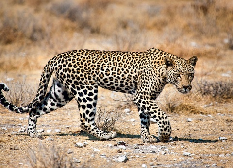 Circuit Trésors d'Afrique australe - 19
