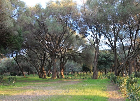 Camping Casa Di Luna - 9